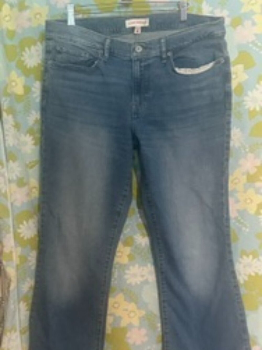 Lucky Brand Womens Flared and Frayed Hem size 14/32